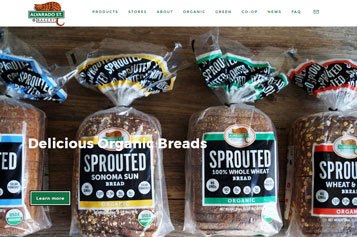 website design for large sites