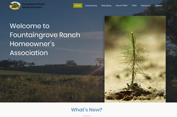 website design for ecommerce